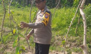 IMG-20260525-WA0064